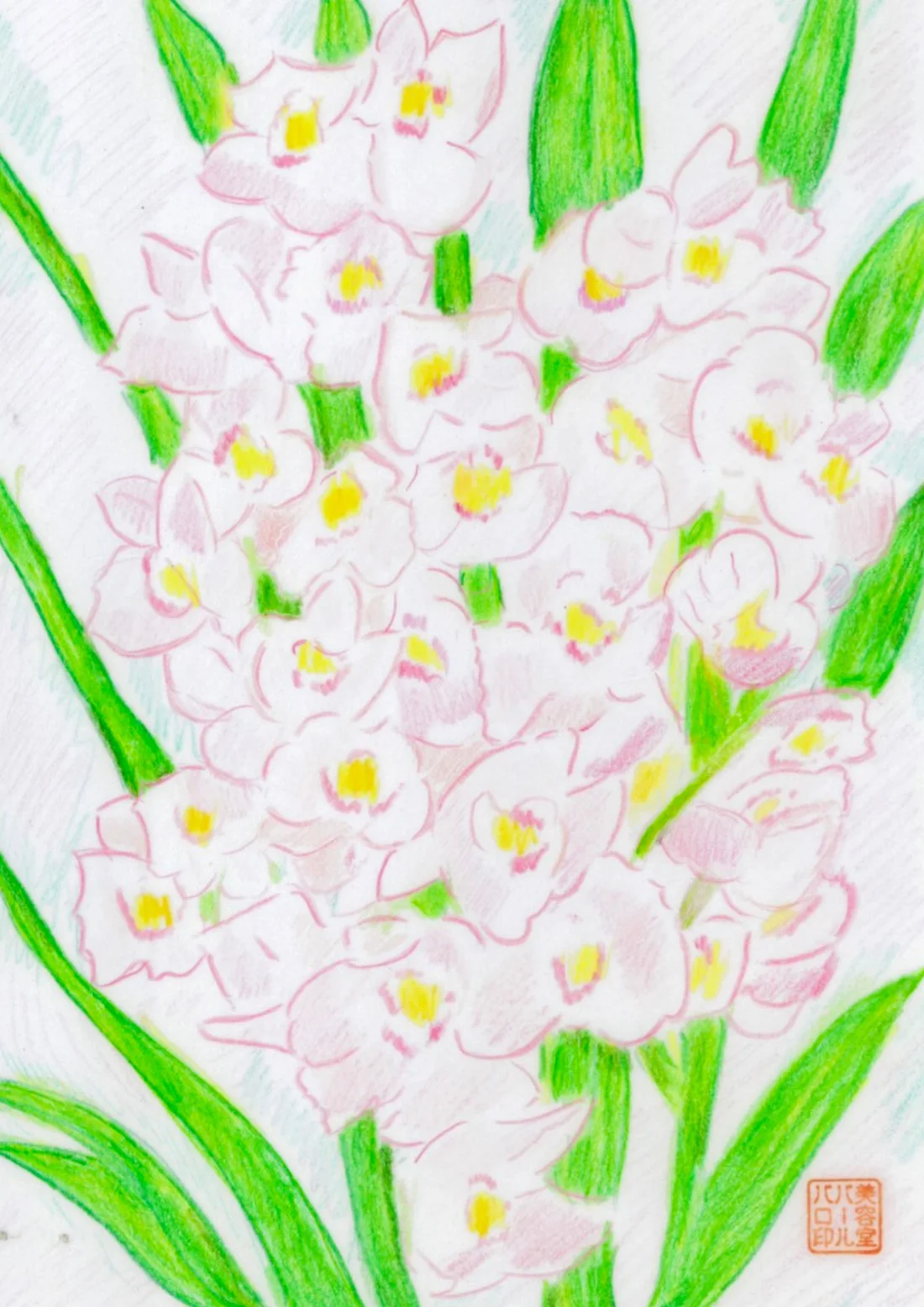 やわらかな花びら — ザキパパの手描き作品