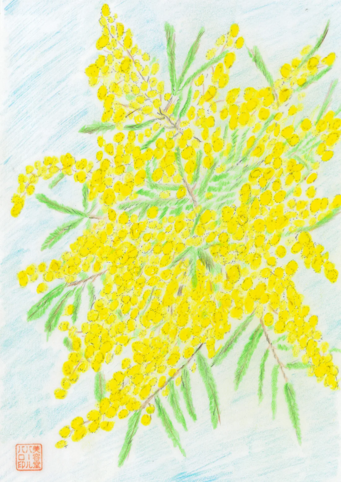 ザキパパが描いた、明るい黄色のミモザ