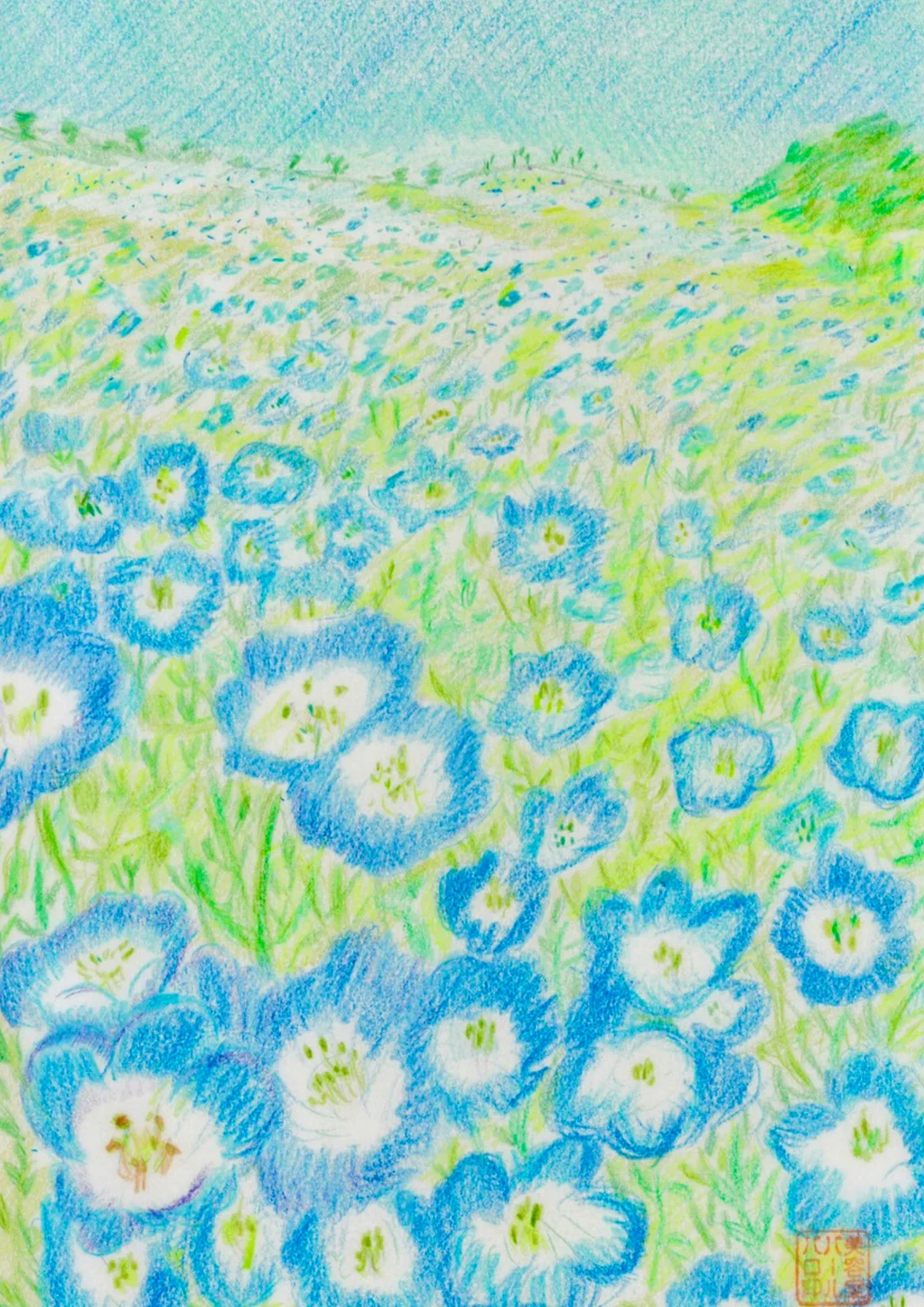 ネモフィラ — ザキパパの手描き作品