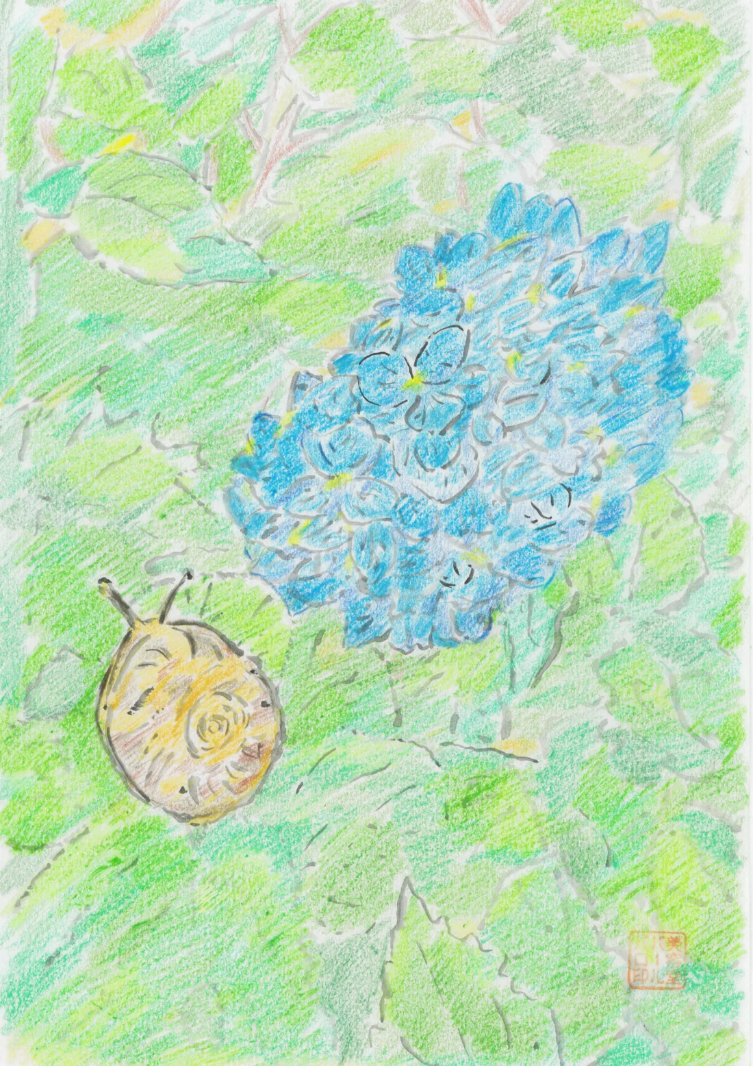 紫陽花と蝸牛の絵