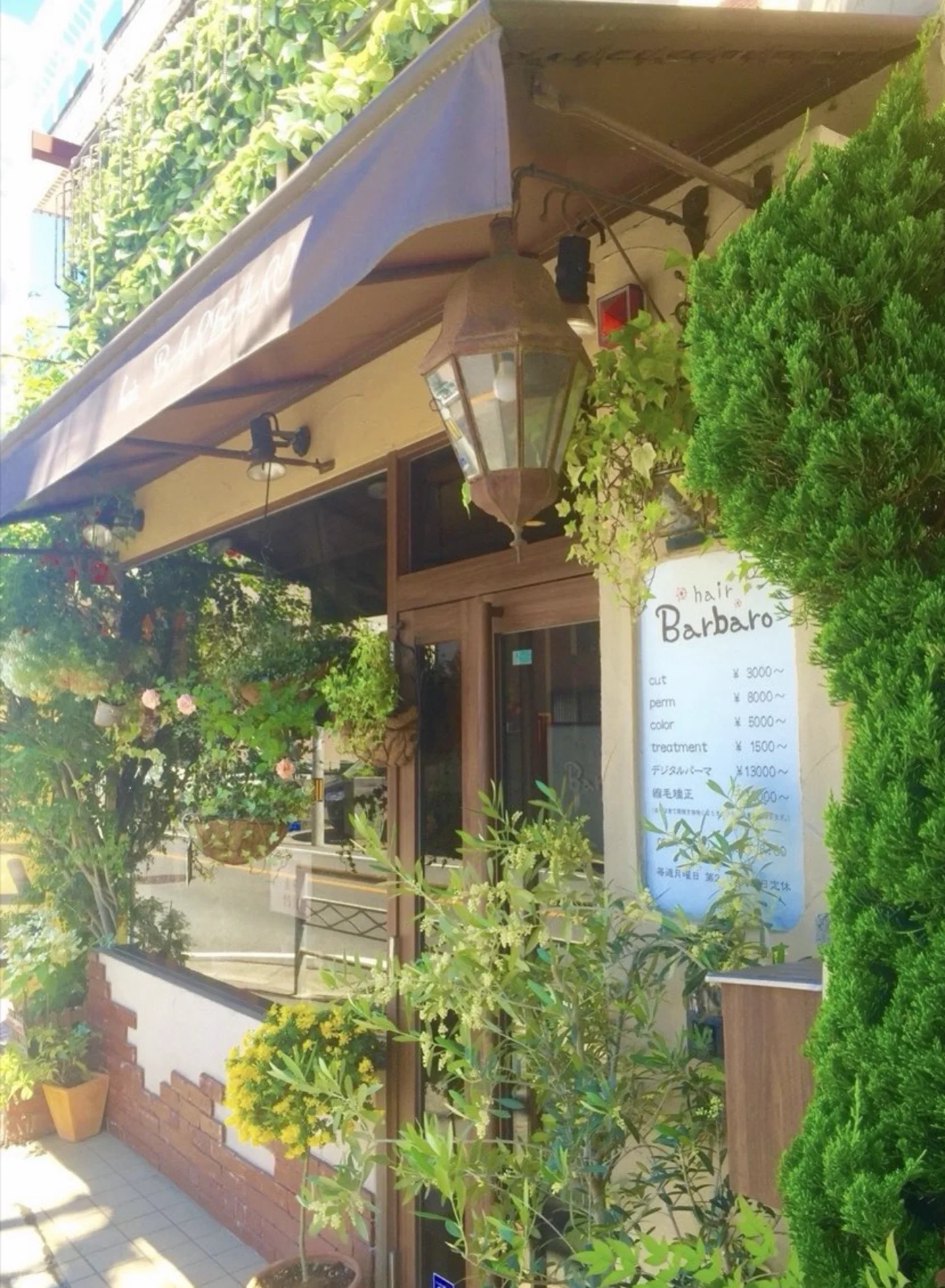 植物が彩る美容室バールバロの店内